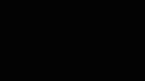 48821
